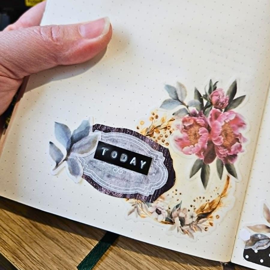 The B90 Embossing Label Maker (Black and Silver Tape Inc.)-Rachel The Turtle Journal