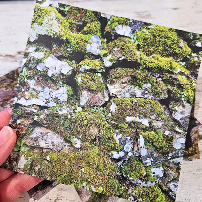 5x5 inch Moss Stone Background Sticker Sheet Set (12 piece)-Rachel The Turtle Journal