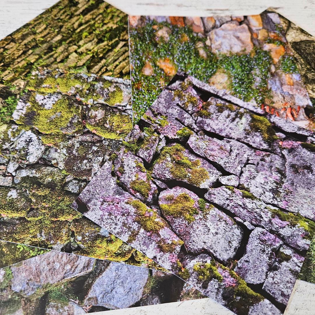 5x5 inch Moss Stone Background Sticker Sheet Set (12 piece)-Rachel The Turtle Journal