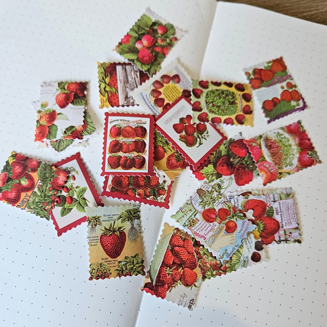 Summer Strawberry Postage Stamp Sticker Set-Rachel The Turtle Journal
