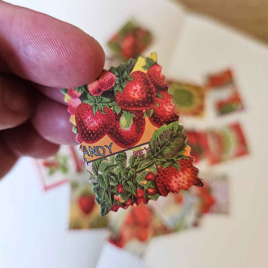Summer Strawberry Postage Stamp Sticker Set-Rachel The Turtle Journal