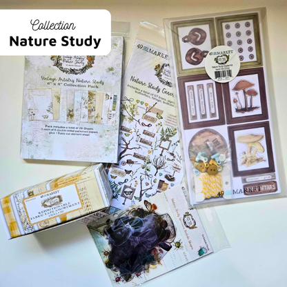 Nature Study Wings Washi Tape Stickers - 49 and Market-Nature Study Wings Washi Tape Stickers - 49 and Market - The Turtle Journal Kiss Cut Supplies-Rachel The Turtle Journal
