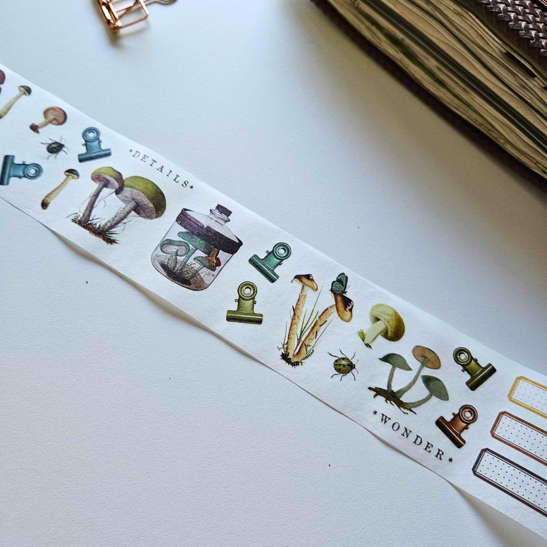 Nature Study Mushroom Washi Tape Stickers - 49 and Market