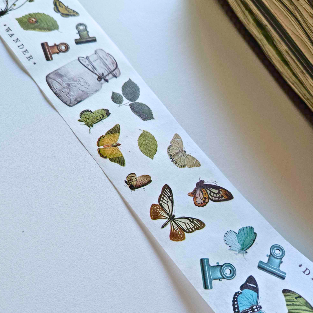 Nature Study Wings Washi Tape Stickers - 49 and Market