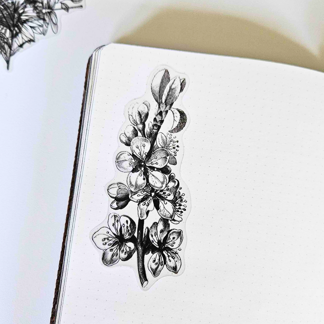 Transparent Botanical Stickers - 15 pieces - Rachel The Turtle Journal