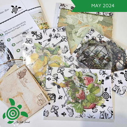 Turtle Treasure Box Subscription - Rachel The Turtle Journal