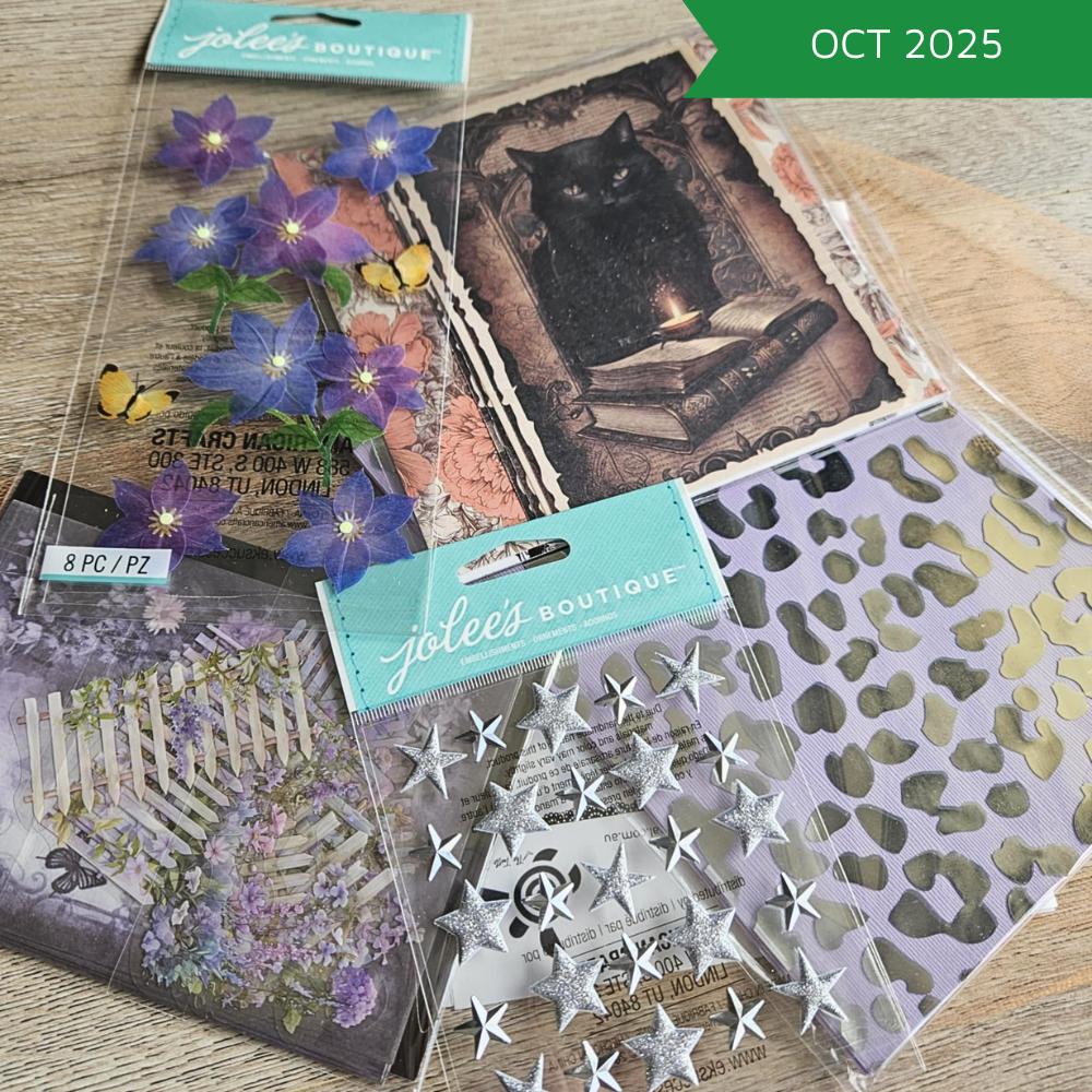 Turtle Treasure Box Subscription Kit-Papers Stickers Subscription Kit Box Monthly Craft Mystery Australia Paper Crafters-Rachel The Turtle Journal