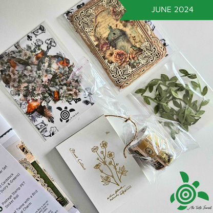 Turtle Treasure Box Subscription - Rachel The Turtle Journal