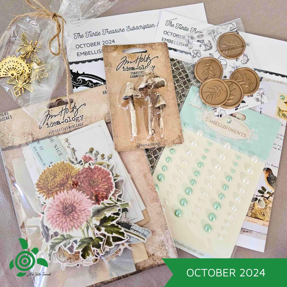 Turtle Treasure Box Subscription - Rachel The Turtle Journal