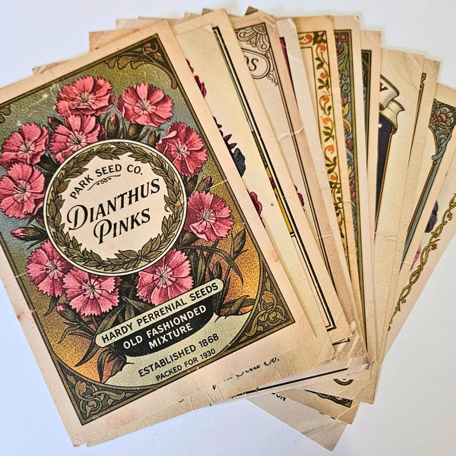Spring Seeds Ephemera Patterned Papers Set - A6 (15 pack)-Rachel The Turtle Journal