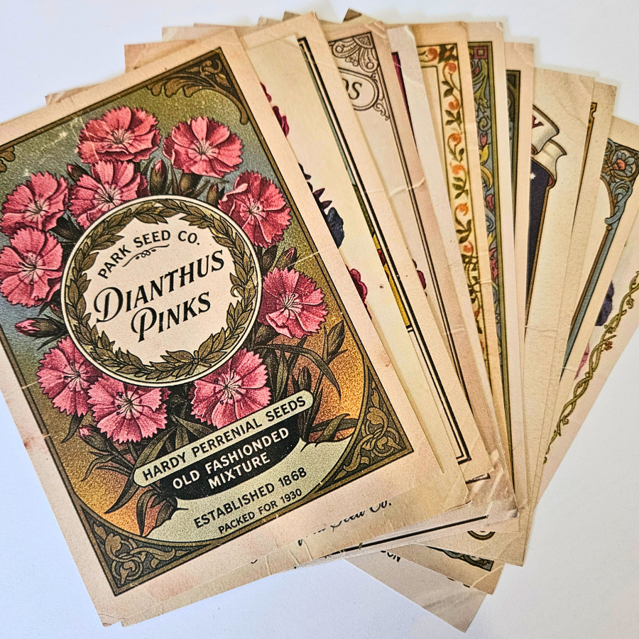 Spring Seeds Ephemera Patterned Papers Set - A6 (15 pack)