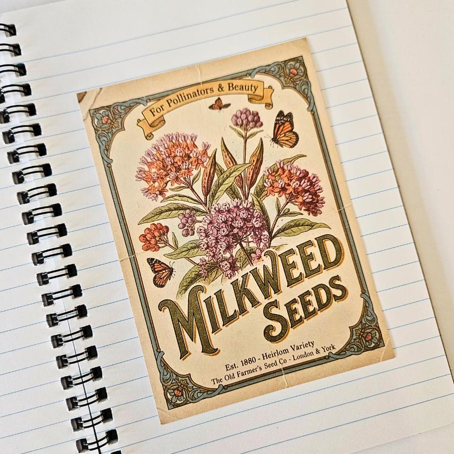 Spring Seeds Ephemera Patterned Papers Set - A6 (15 pack)-Rachel The Turtle Journal