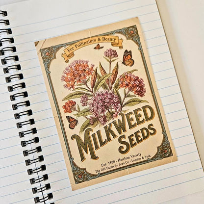 Spring Seeds Ephemera Patterned Papers Set - A6 (15 pack)-Rachel The Turtle Journal