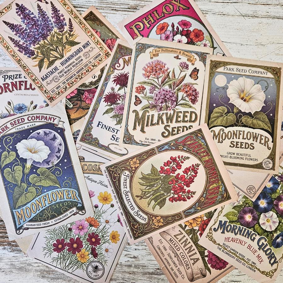 Spring Seeds Ephemera Patterned Papers Set - A6 (15 pack)-Rachel The Turtle Journal