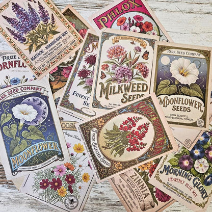 Spring Seeds Ephemera Patterned Papers Set - A6 (15 pack)-Rachel The Turtle Journal