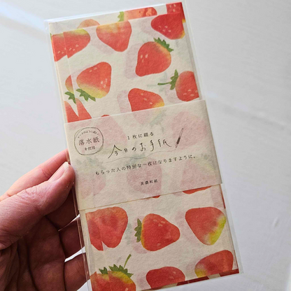 DL Envelope Paper Set - Today's Letter From Japan-Strawberry-DL Envelope Paper Set - Today's Letter From Japan - The Turtle Journal-Rachel The Turtle Journal