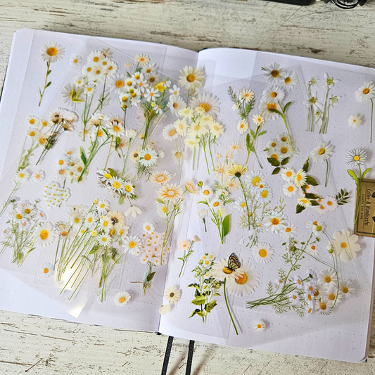 Flower Fields Sticker Sheet Sets (5 kiss cut sheets)-Rachel The Turtle Journal