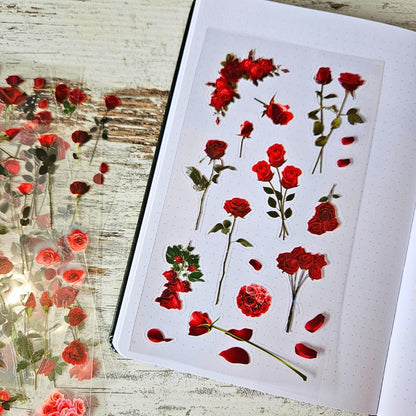 Flower Fields Sticker Sheet Sets (5 kiss cut sheets)-Rachel The Turtle Journal