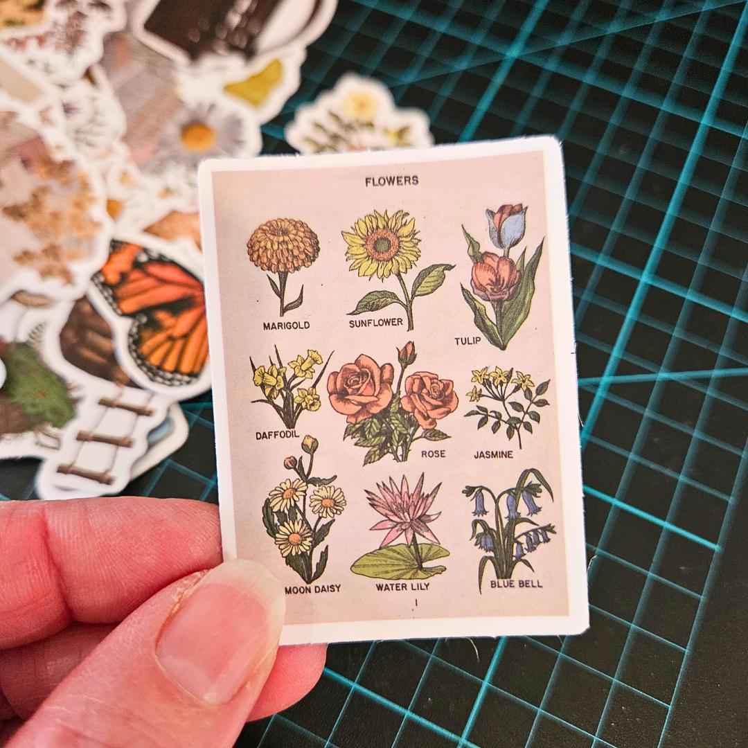The Quiet Life Satin Paper Sticker Set (45 pieces)-Rachel The Turtle Journal