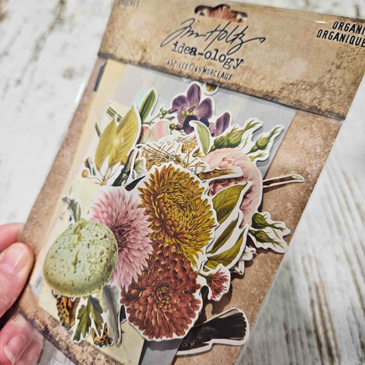 Clearance: Tim Holtz Idea-ology Nature Die cuts