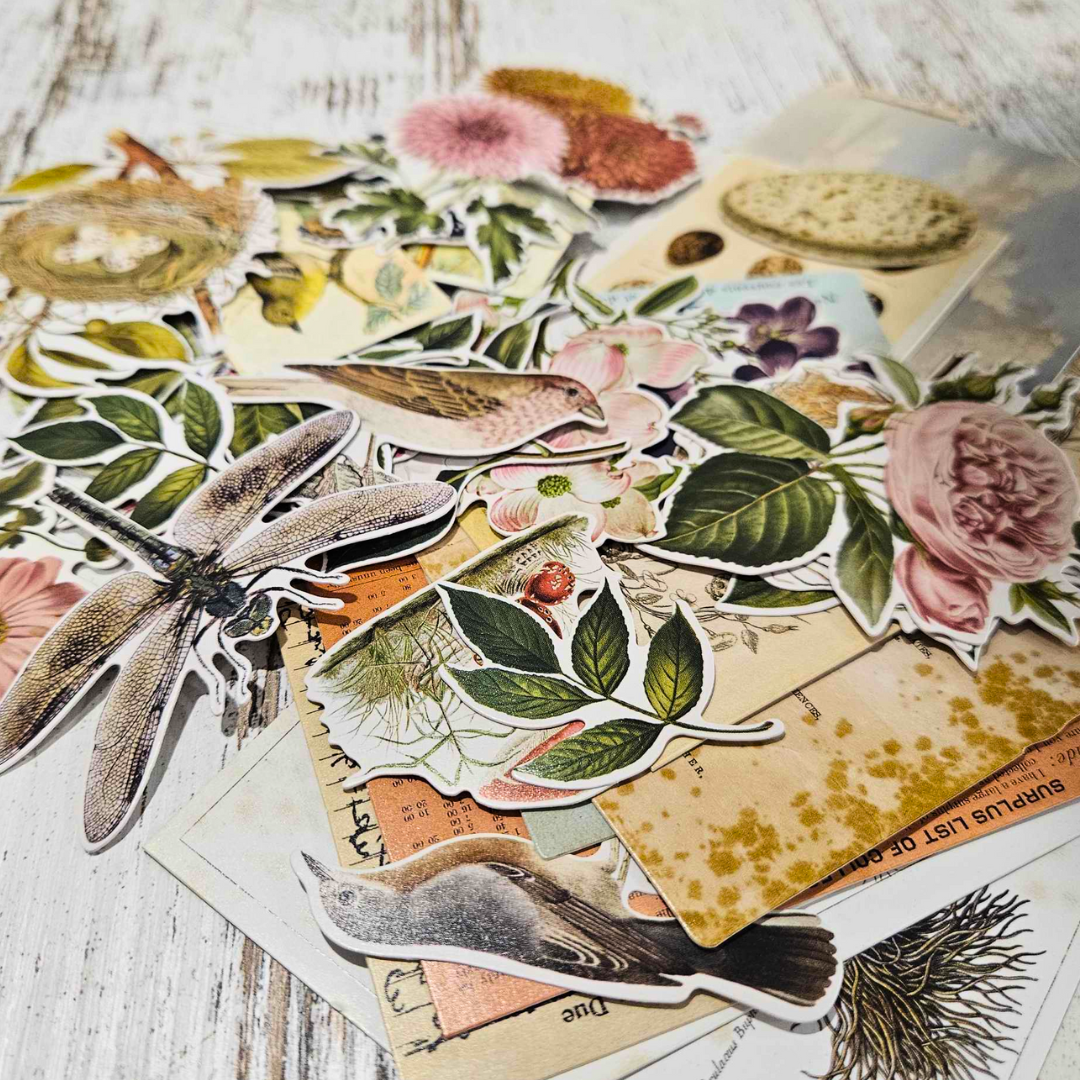 Clearance: Tim Holtz Idea-ology Nature Die cuts-Perforated Postage Stamp Washi Tape ARToptions Spice - Aussie Paper Crafting - The Turtle Journal-Rachel The Turtle Journal