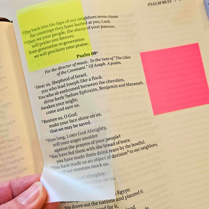 Transparent Square Highlighter Sticky Notes - Book Lovers Collection - Rachel The Turtle Journal -  - Australian Junk Journaling Scrapbooking Supplies