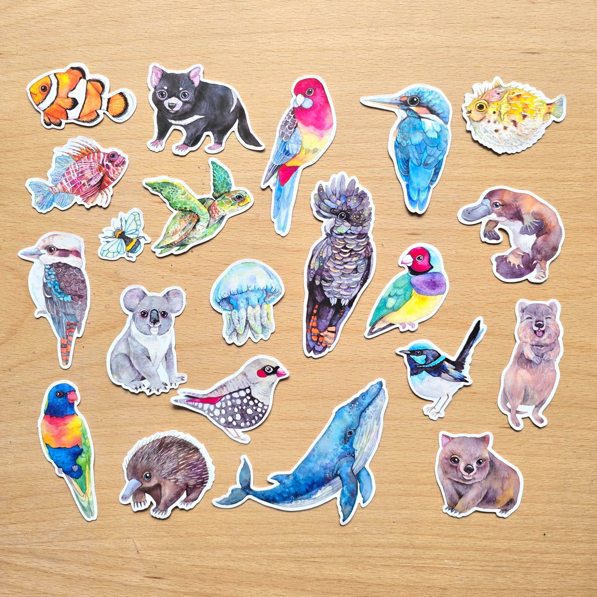 Australian Animals Vinyl Sticker Pack – 21 pcs-Rachel The Turtle Journal