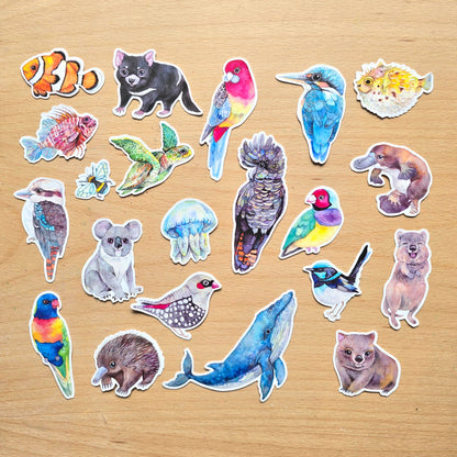 Australian Animals Vinyl Sticker Pack – 21 pcs-Rachel The Turtle Journal