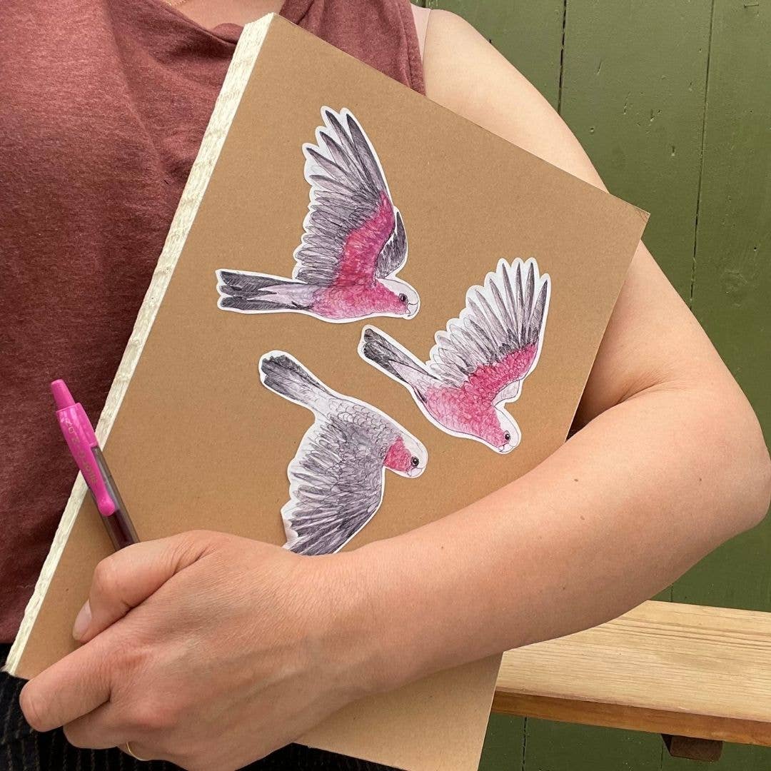 Galahs Australian Birds Sticker Sheet - Bridget Farmer