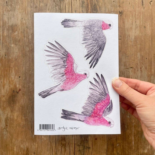 Galahs Australian Birds Sticker Sheet - Bridget Farmer