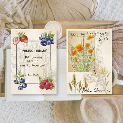 Scent of Summer Scrap Junk Journaling Paper (24 pieces) - Plan & Plot Studio