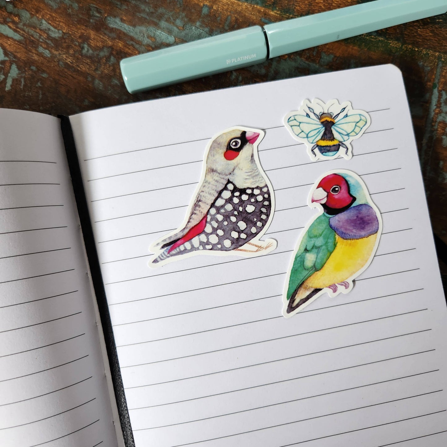 Australian Animals Vinyl Sticker Pack – 21 pcs-Rachel The Turtle Journal