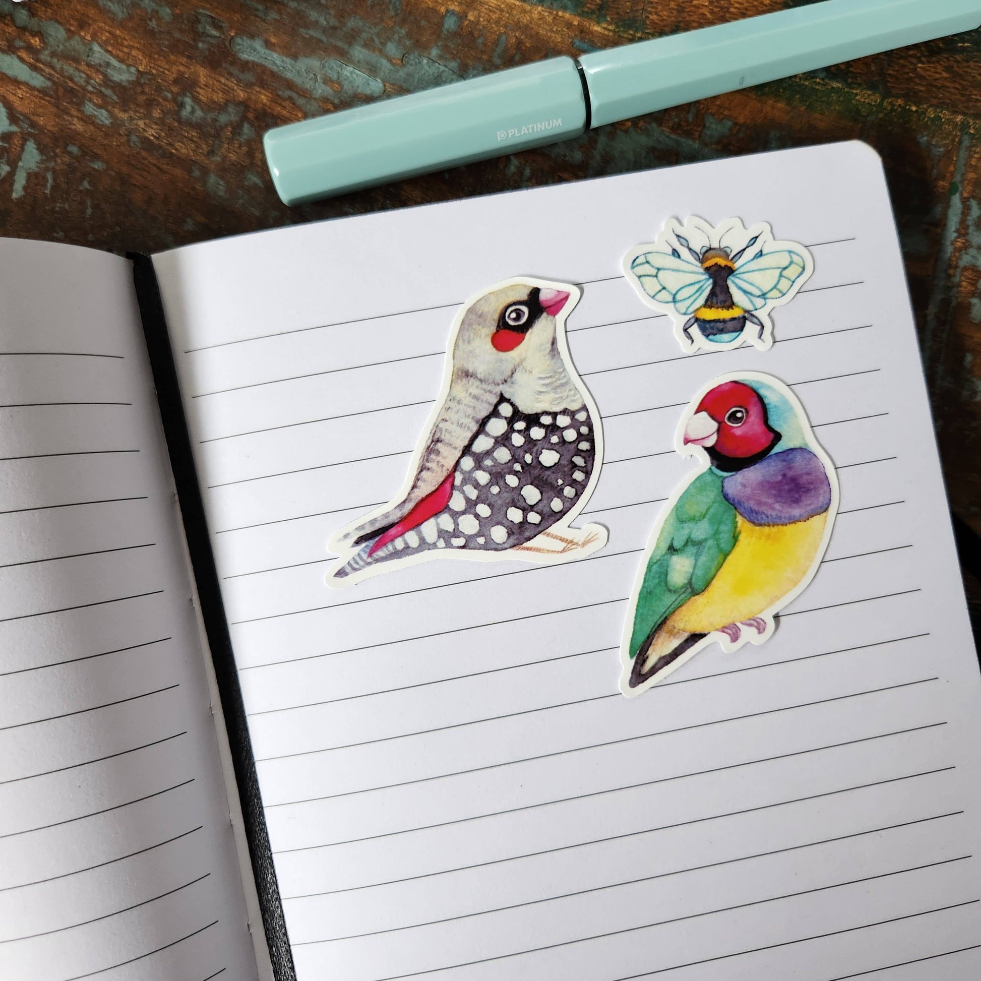 Australian Animals Vinyl Sticker Pack – 21 pcs-Rachel The Turtle Journal