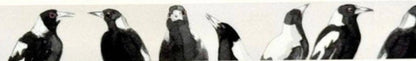 Magpies Washi (15mm width) 10m roll - Bridget Farmer