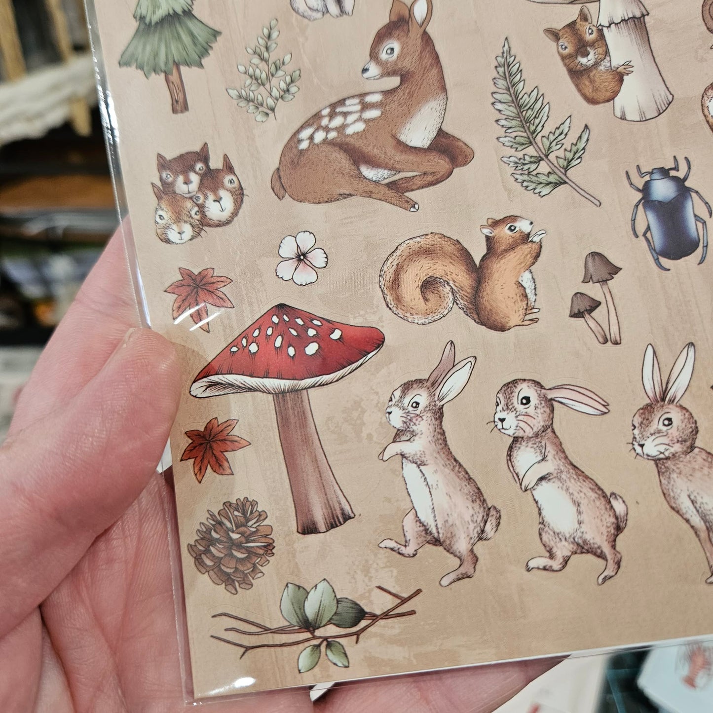 Woodland Sticker Set - Typoflora (1 sheet)