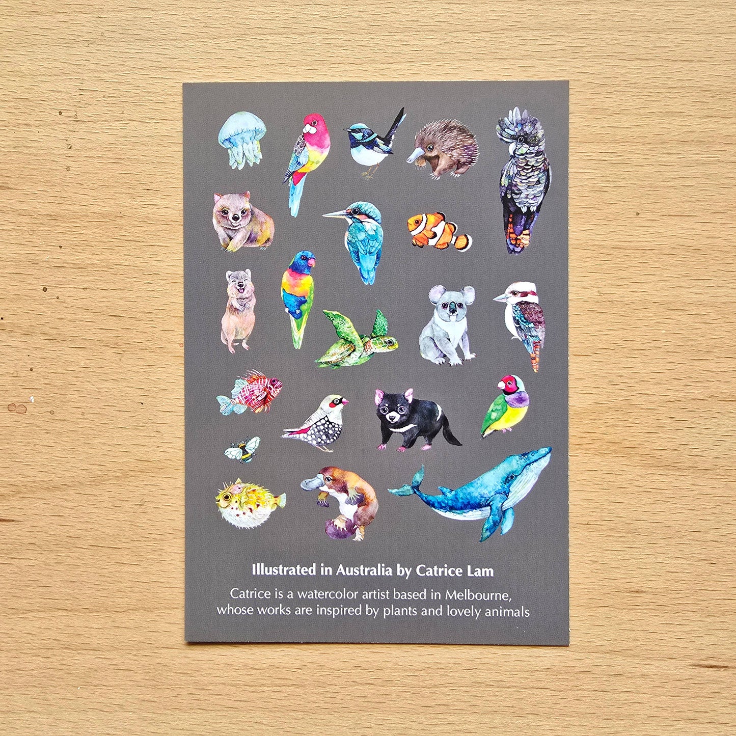 Australian Animals Vinyl Sticker Pack – 21 pcs-Rachel The Turtle Journal