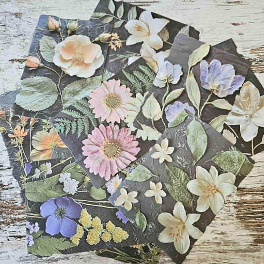 A6 Floral Close Up Patterned Ephemera (10 pack)