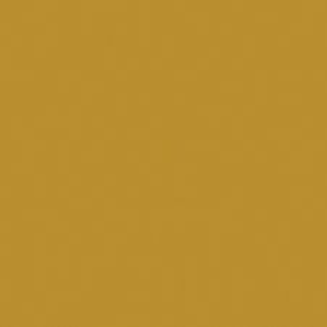 A5 Bazzill Cardstock Packs - various colours (6 pack)-Gold Coins-Rachel The Turtle Journal