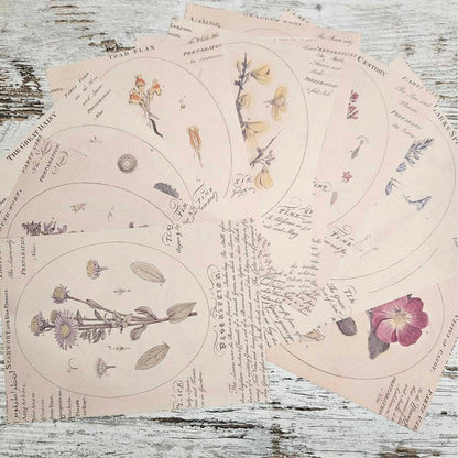 A5 Vintage Patterned Paper Packs (15 pieces) - Rachel The Turtle Journal - Botanicals - -A5 Vintage Patterned Paper Packs (15 pieces) - Rachel The Turtle Journal - Patterned Papers for Scrapbooking Journaling Backgrounds A5 pack bundle journaling essentials beginner supplies Australian scrapbooking cardmaking collage supply vintage worn aged paper embellishments
