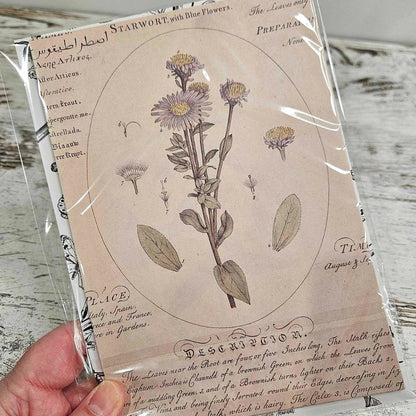A5 Vintage Patterned Paper Packs (15 pieces) - Rachel The Turtle Journal - Botanicals - -A5 Vintage Patterned Paper Packs (15 pieces) - Rachel The Turtle Journal - Patterned Papers for Scrapbooking Journaling Backgrounds A5 pack bundle journaling essentials beginner supplies Australian scrapbooking cardmaking collage supply vintage worn aged paper embellishments