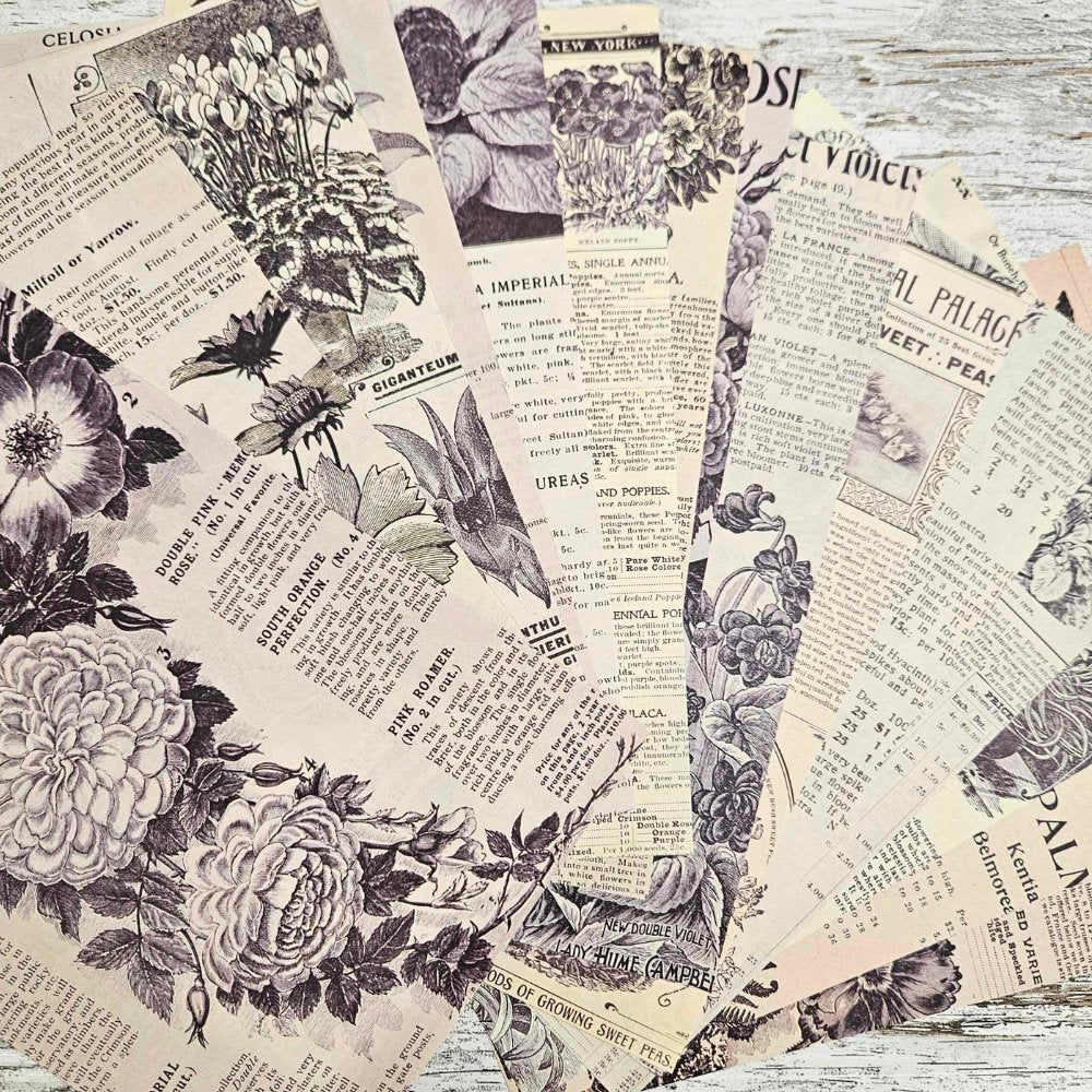 A5 Vintage Patterned Paper Packs (15 pieces) - Rachel The Turtle Journal - FlowerPedia - -A5 Vintage Patterned Paper Packs (15 pieces) - Rachel The Turtle Journal - Patterned Papers for Scrapbooking Journaling Backgrounds A5 pack bundle journaling essentials beginner supplies Australian scrapbooking cardmaking collage supply vintage worn aged paper embellishments