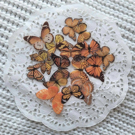 The Turtle Journal - Stickers and Embellishments - Butterfly Sticker Set PET Kiss cut - Scrapbooking Junk Journaling Spring Monarch Emerald Lavender Blue Pink Pack of 20 Stickers Aussie Business