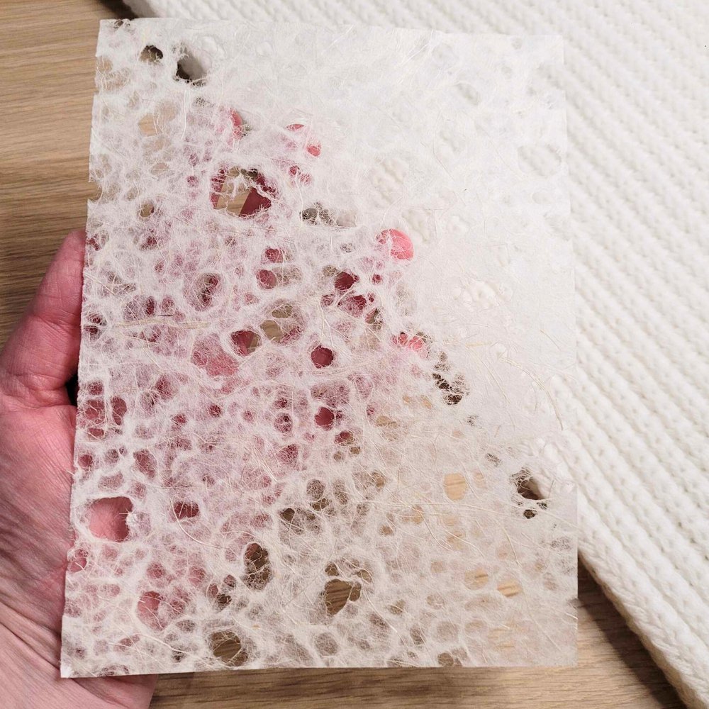 Mulberry-Style Handmade Paper Pack (5 pack) - Rachel The Turtle Journal - White - 5 pack - -