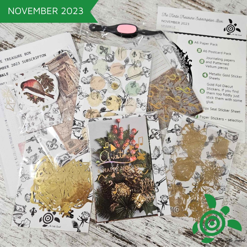 Turtle Treasure Box Subscription - Rachel The Turtle Journal - - -