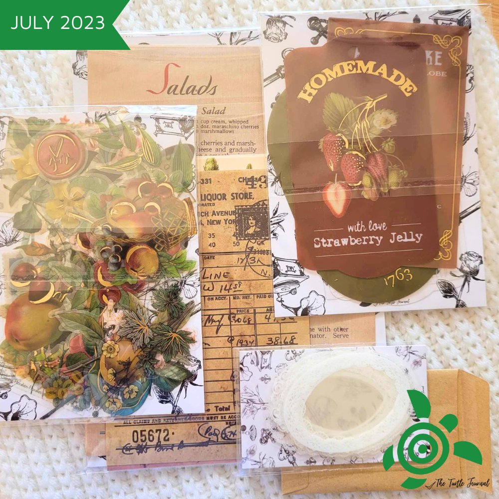 Turtle Treasure Box Subscription - Rachel The Turtle Journal - - -