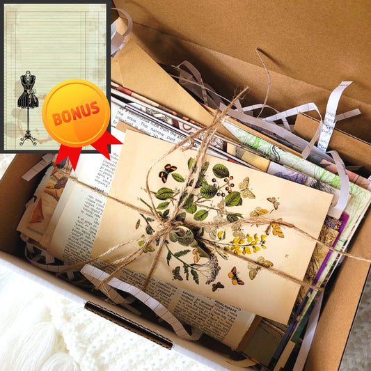 Vintage Ephemera Craft Mystery Box + BONUS - Rachel The Turtle Journal - 1 Craft Supply Box - Ephemera Bundle Papers Stickers Mixed Mystery Bundle Box Scrapbooking Australia best seller free included printable patterned papers postcards vintage books background papers pet stickers washi tape mixed kit matching